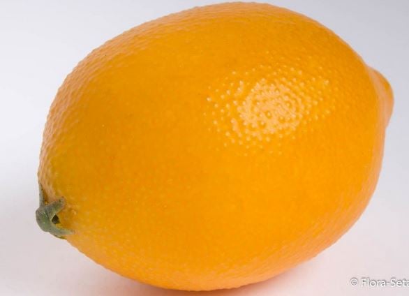 Zitrone 8x6cm gelb künstlich