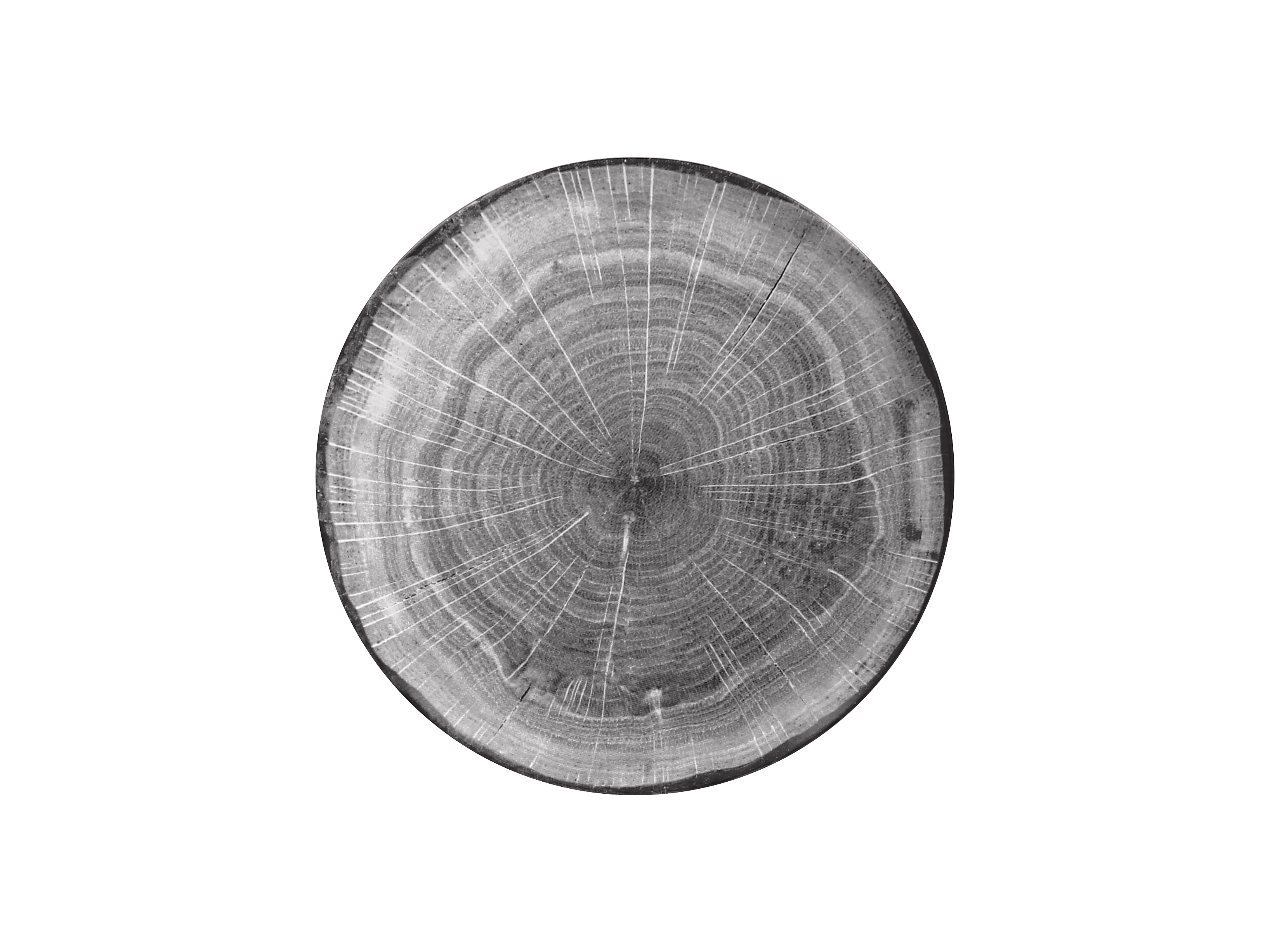 Teller coup 27cm FUSION WOODART beech-grey