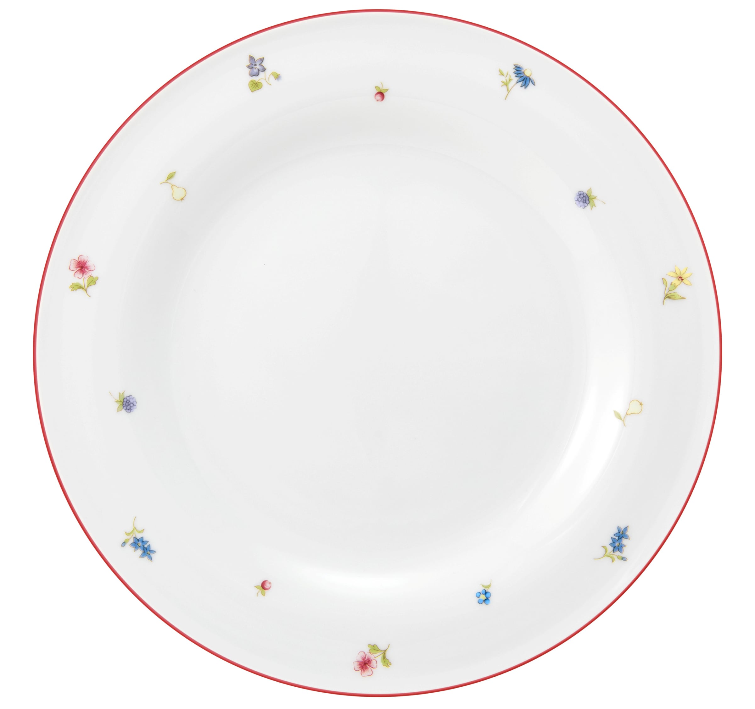 Teller rund flach 28cm COMMUNITY streublume rote linie