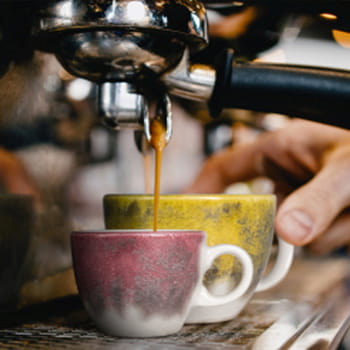 seltmann_modern life