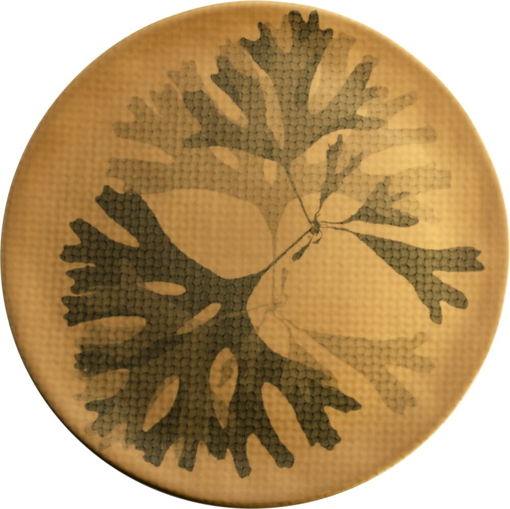 Teller flach 31cm CHEF`S PLATES mustard