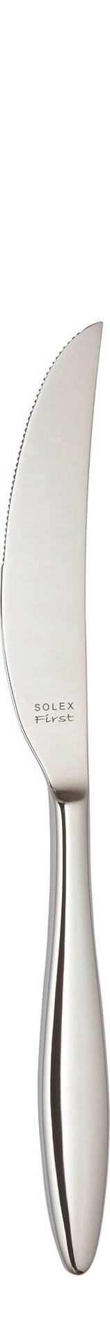 Steakmesser Monoblock 239mm TERRA