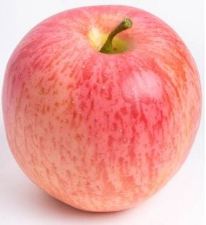 Apfel 7,5x 6cm rot-gelb