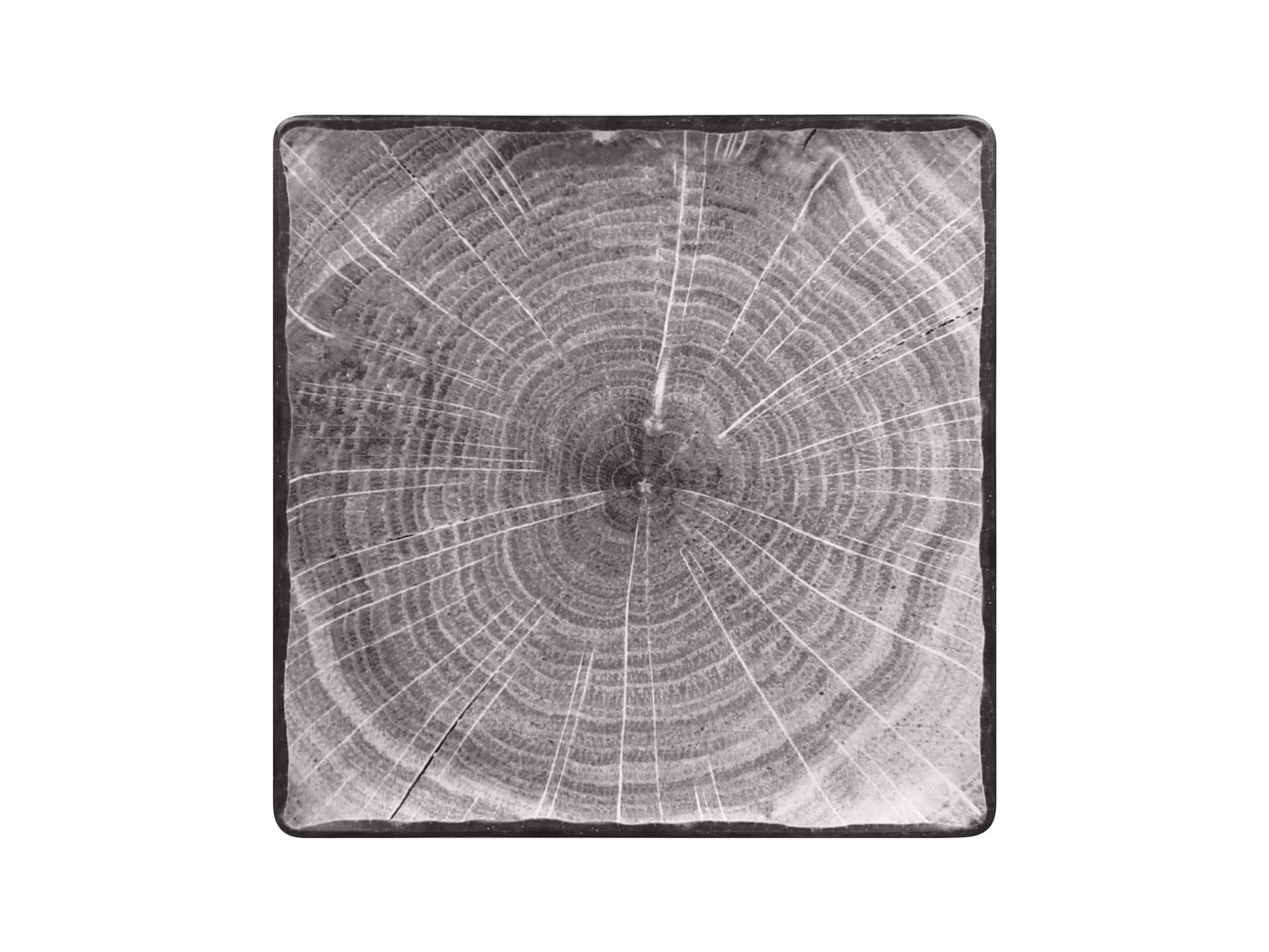 Teller quadratisch 30,2cm FUSION WOODART beech-grey