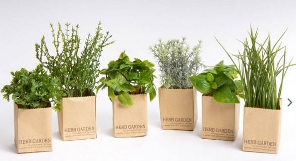 Kräutersortiment in Tüte 6-teilig künstlich