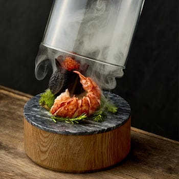 Playground_spotlight