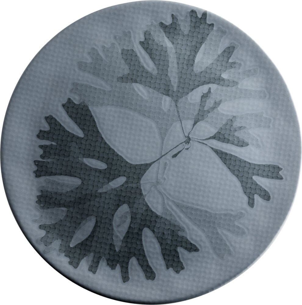 Teller flach 31cm CHEF`S PLATES blue