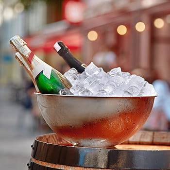 flaschenkuhleroy5i479esjiot