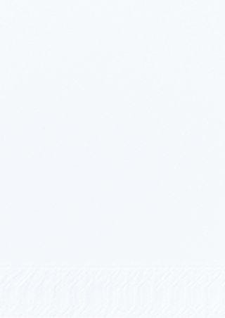 250 Stück Zellstoff Serviette 40x40 3-lagig 1/8 weiß