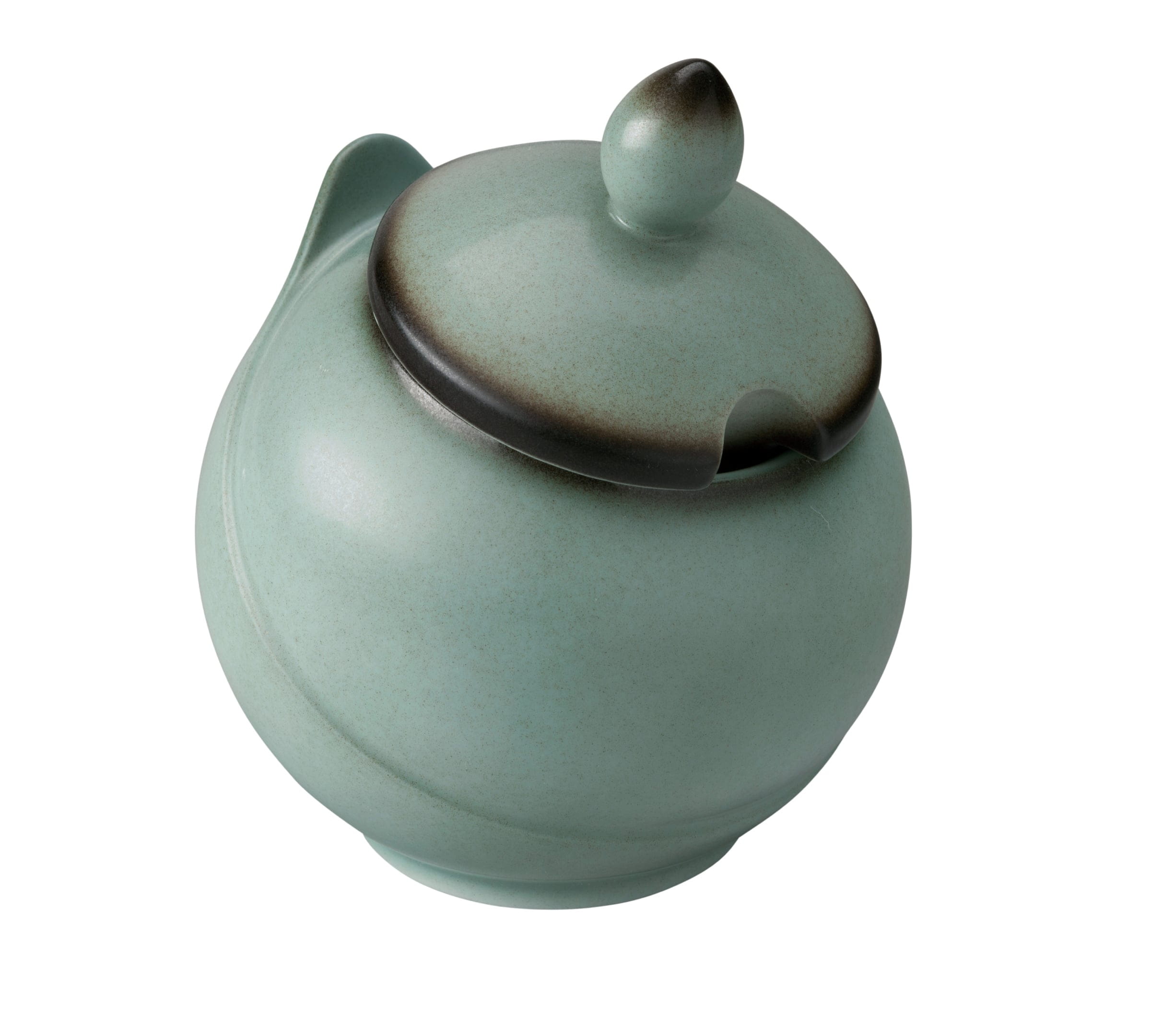 Bowl mit Deckel 5120/0,5L BUFFET Fantastic türkis