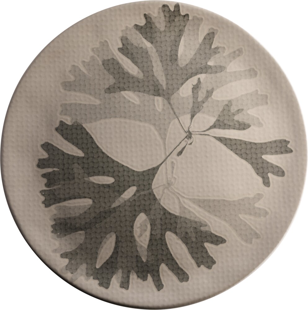 Teller flach 31cm CHEF`S PLATES taupe