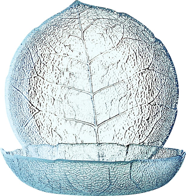 Teller tief 14,5cm ASPEN